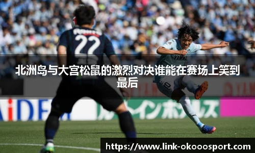 北洲岛与大宫松鼠的激烈对决谁能在赛场上笑到最后